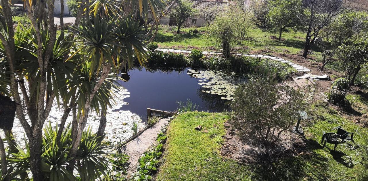 Quinta Do Soldado Villa อัลแบร์กาเรีย-อา-แวญา ภายนอก รูปภาพ